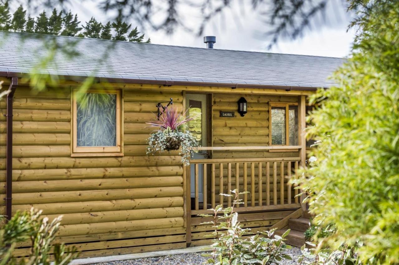 Laurel Lodge - 2 Bedroom Log Cabin - St Florence Saint Florence 外观 照片